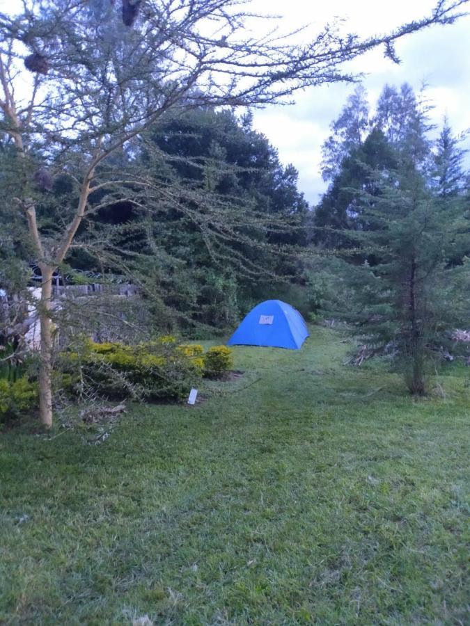 מלון נאניוקי Camp Mahon Gardens מראה חיצוני תמונה