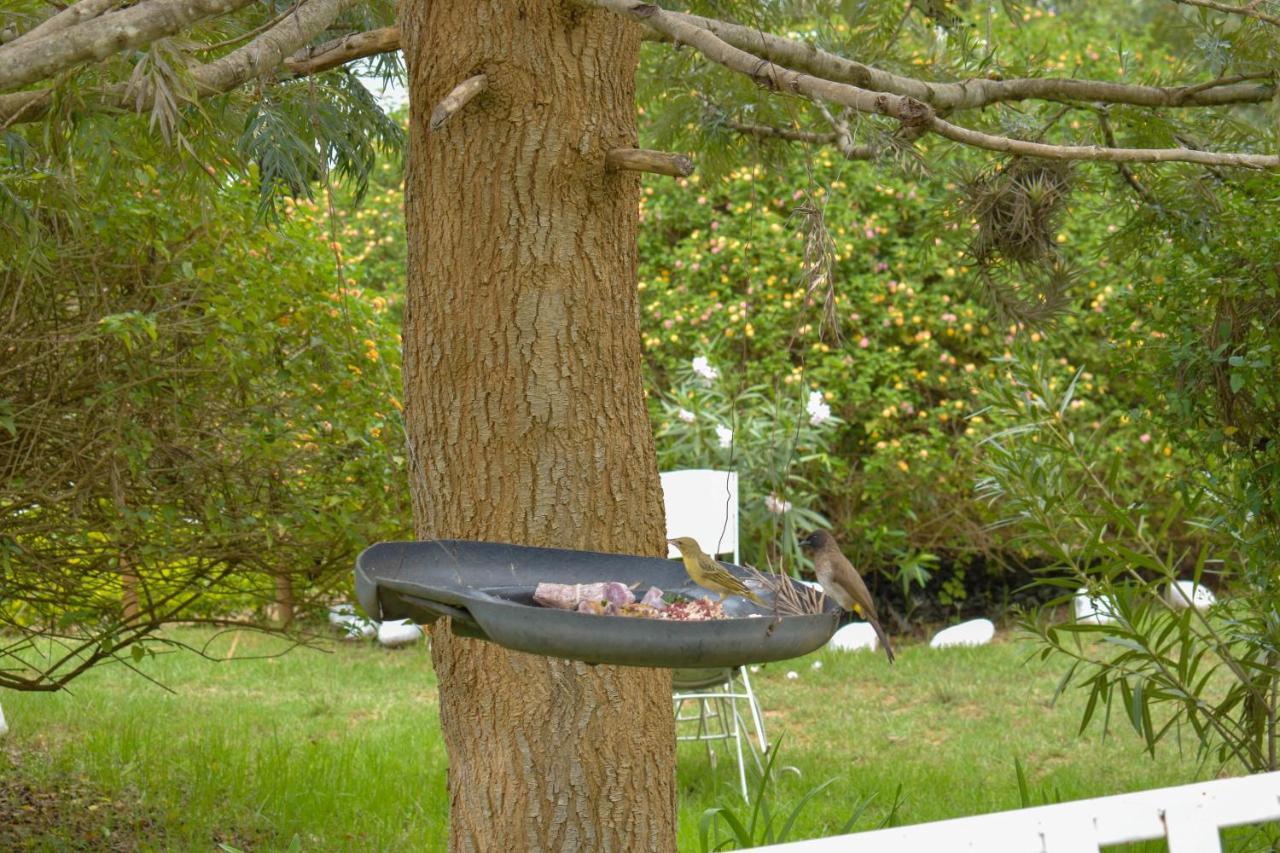 מלון נאניוקי Camp Mahon Gardens מראה חיצוני תמונה